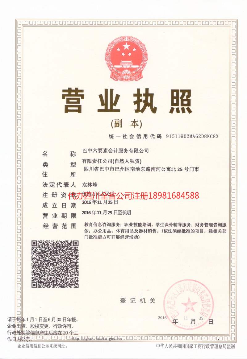 安岳安岳六要素会计服务有限公司